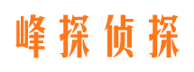 平安侦探